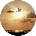 אריאלה פרץ profile picture